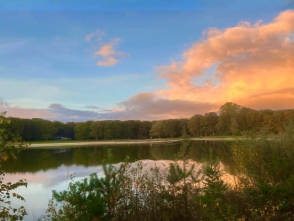 Foto 66 van Zuiderweg 54