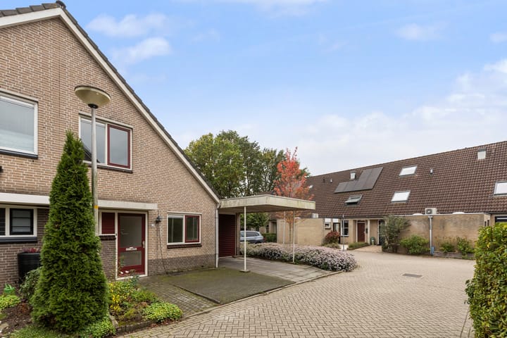 Foto 2 van Guldenroede 2