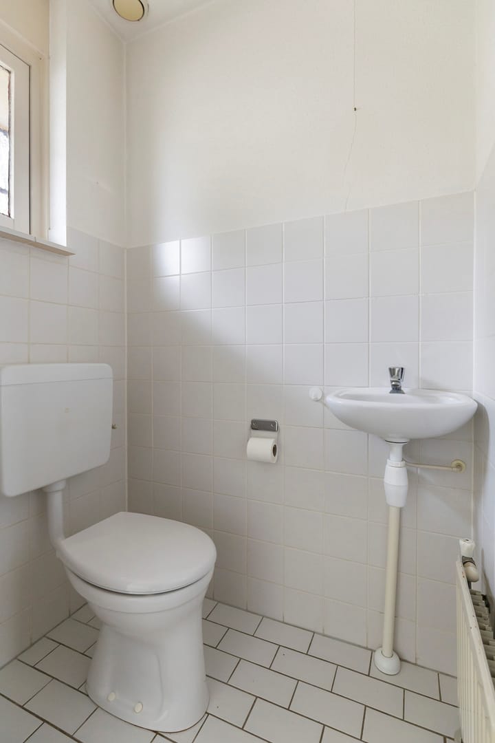 Foto 8 van Guldenroede 2