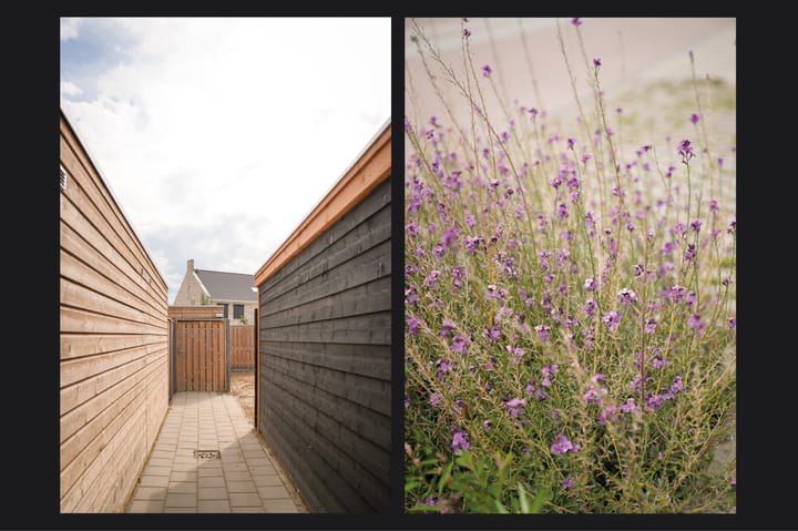 Photo 23 of Terra Nigrastraat 38