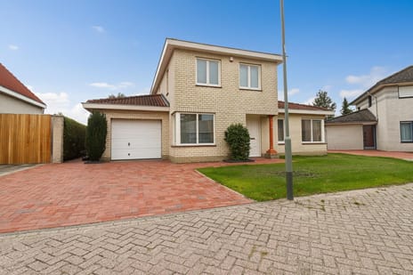 Korenbloem 7