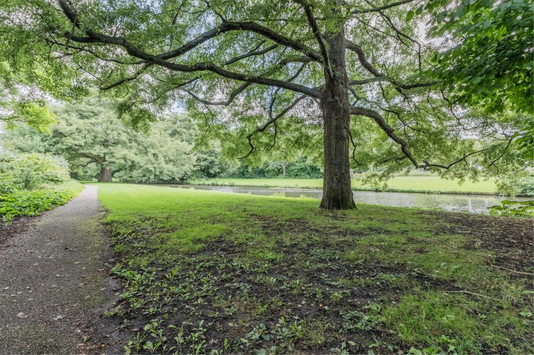 Photo 46 of Voornsehoek 37