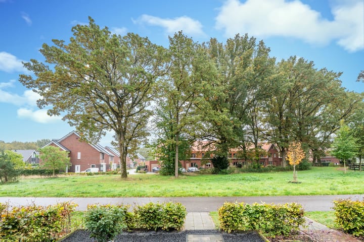 Foto 7 van Koolmeesstraat 7