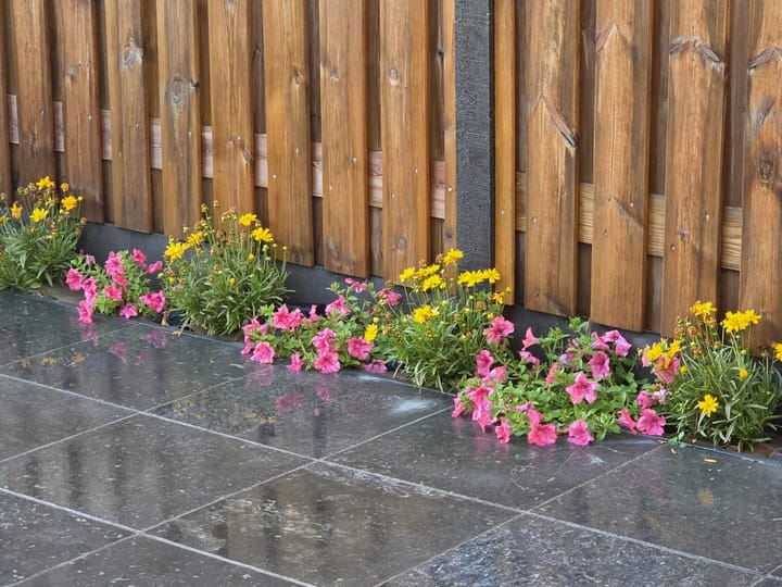 Foto 23 van Statenstraat 23