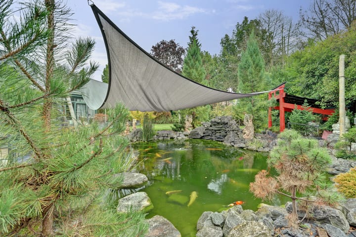 Photo 47 of Sophialaan 1