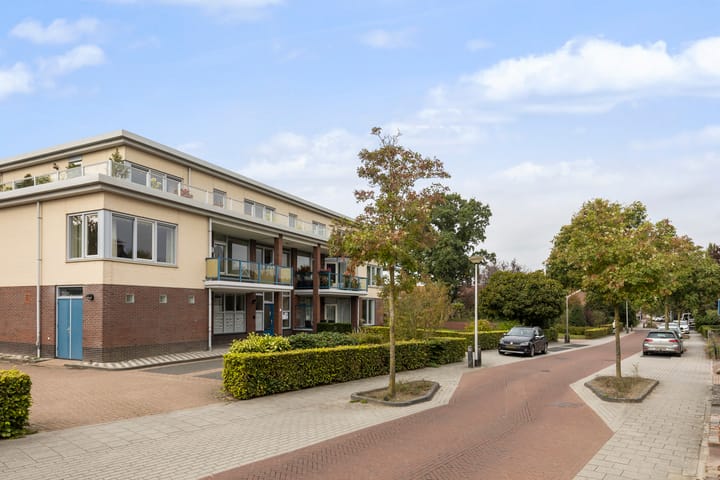 Foto 37 van Tuinstraat 15-201