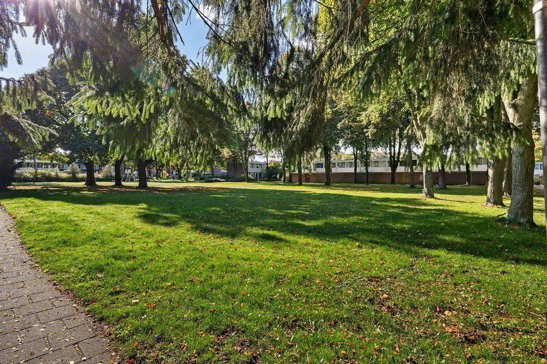 Foto 23 van Laan van de Iemenhees 374