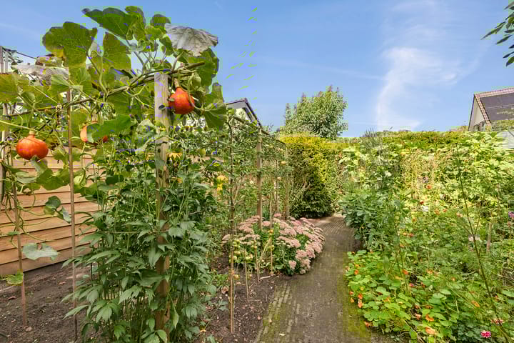 Foto 46 van Hoekergoorn 10