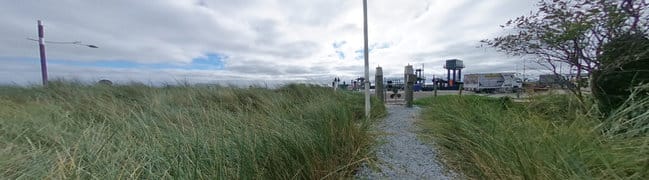 Helmgras nabij de Waddenzee