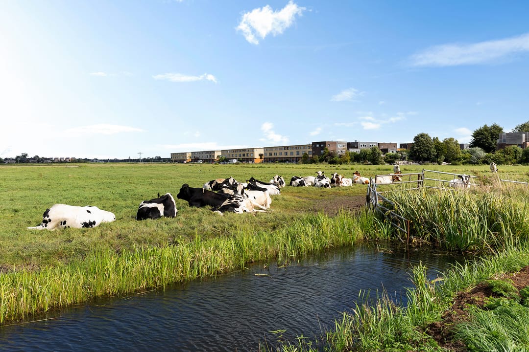 Foto 46 van Johan Ellenbergerstraat 4