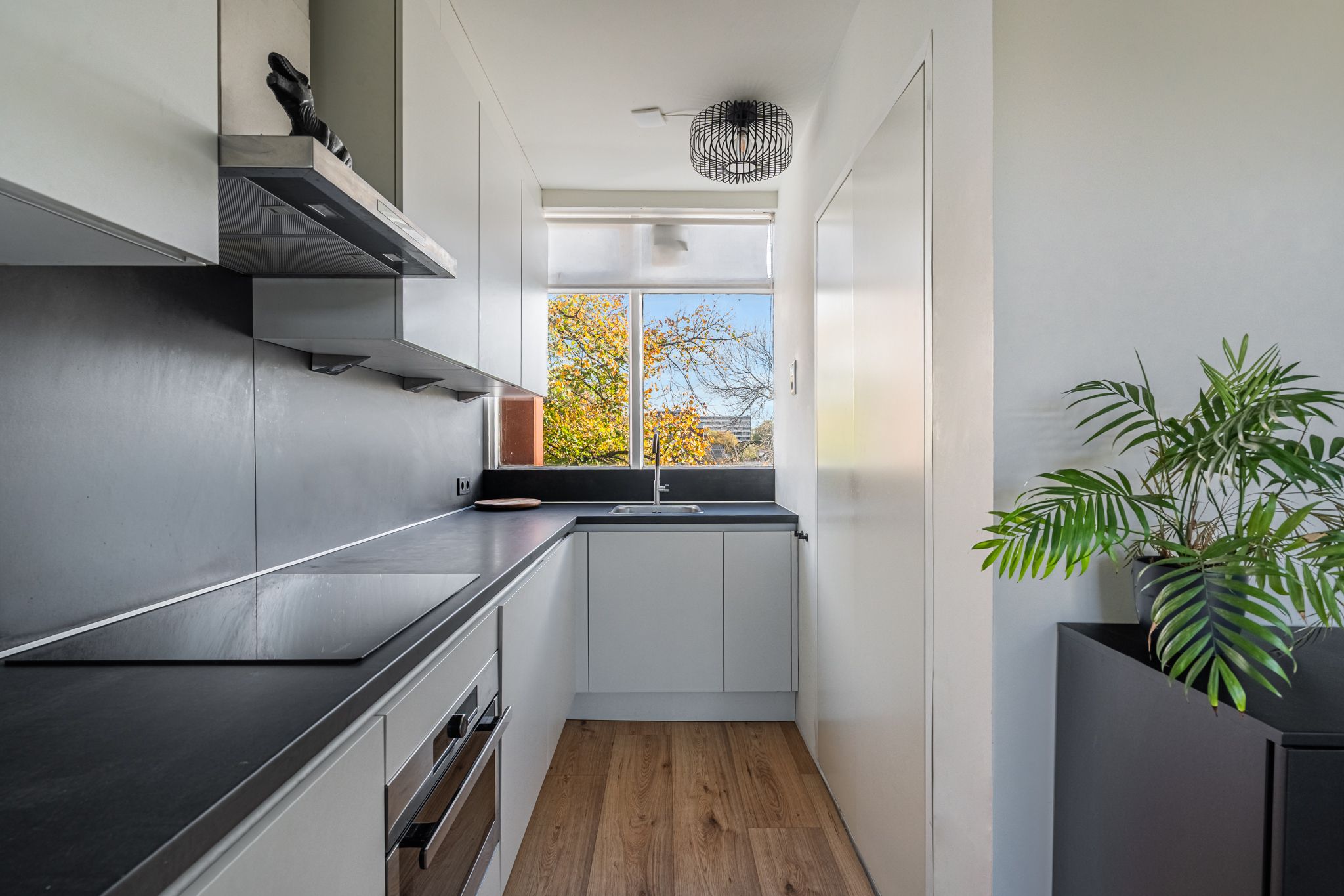 Foto 3 van Zilverschoonplein 32