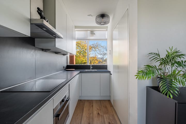 Foto 3 van Zilverschoonplein 32