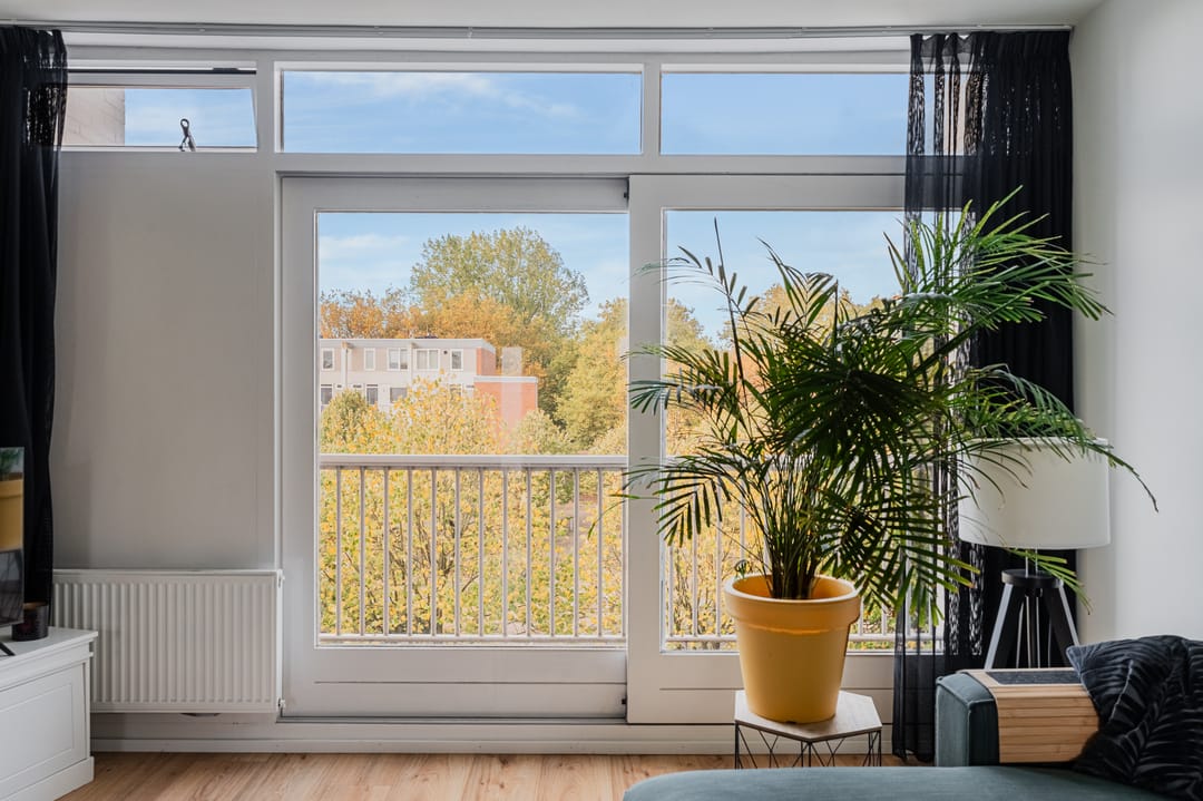 Foto 7 van Zilverschoonplein 32