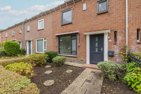 undefined main image