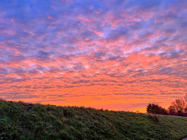 Photo 56 of Fortwachter 34