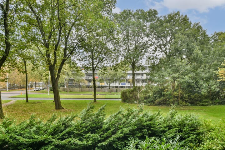 Foto 14 van Zijldonk 12