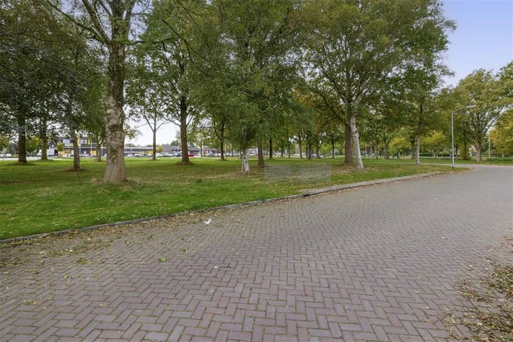 Photo 6 of Kleine Belt 3