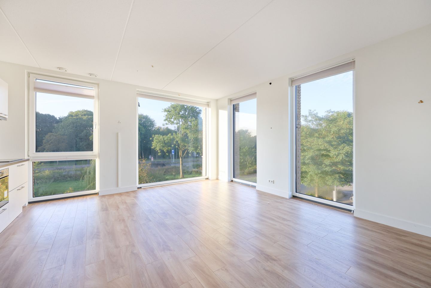 Foto 4 van Ryelandstraat 5