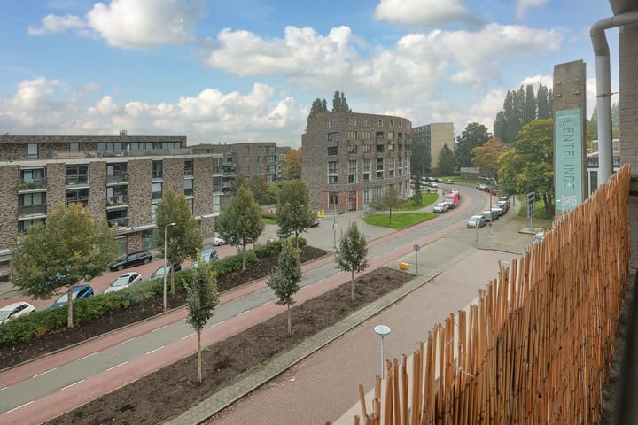 Foto 9 van Haagbeuklaan 52