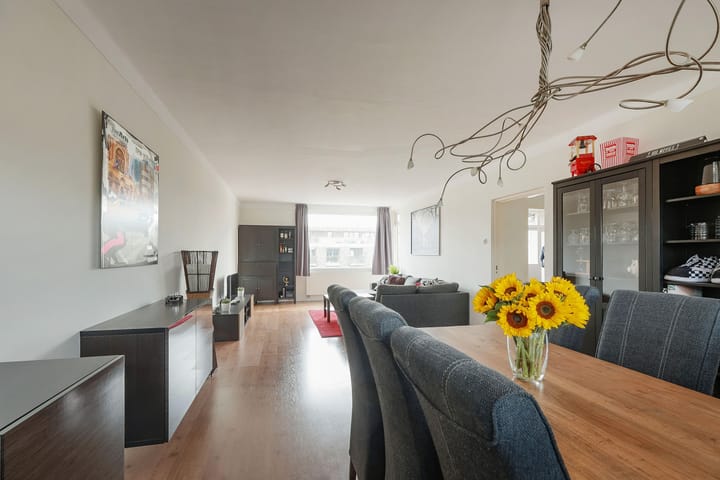 Foto 13 van Haagbeuklaan 52