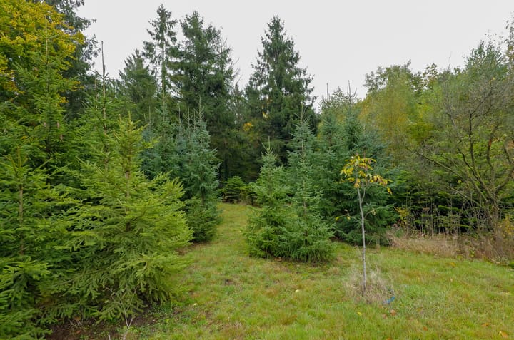 Foto 41 van Groningerstraat 12