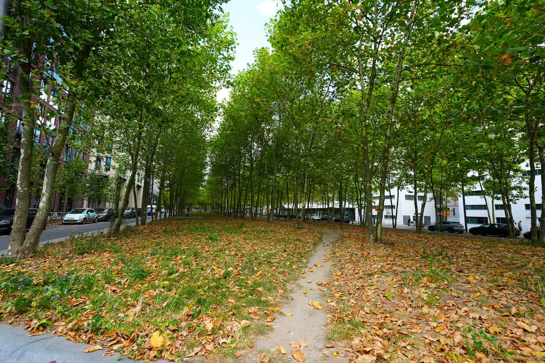 Foto 47 van Torenallee 69-042