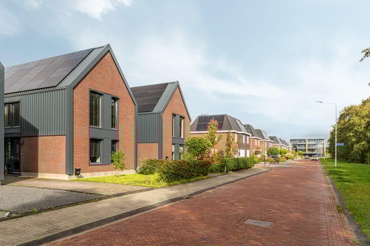 Photo 50 of Duizendblad 24