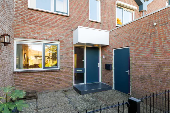 Foto 7 van Punter 29 12