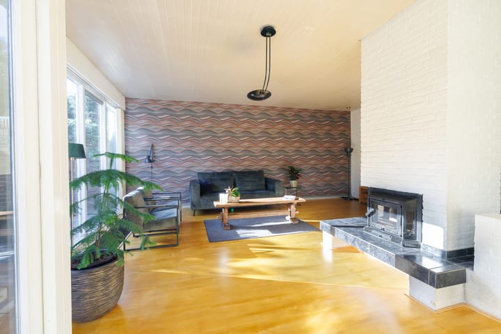 Foto 20 van Punter 29 12