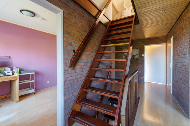 Foto 24 van Punter 29 12