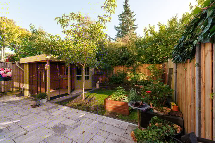 Foto 44 van Punter 29 12