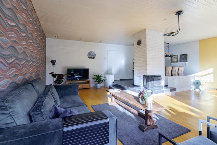 Foto 17 van Punter 29 12