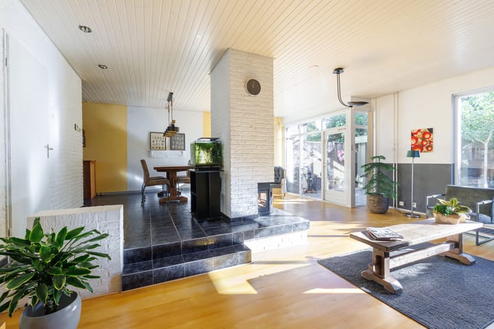 Foto 4 van Punter 29 12