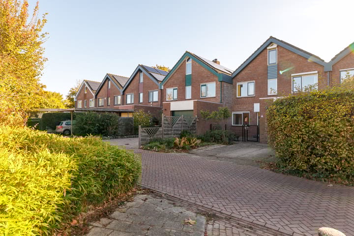 Foto 6 van Punter 29 12