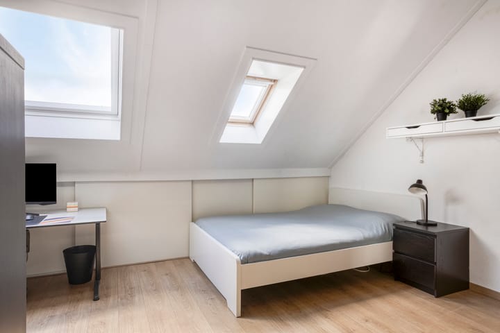 Foto 24 van de Lingert 6220