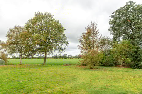 Tolheksleane 8 tertiary image