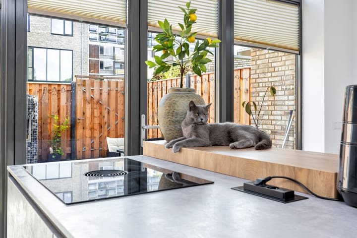 Photo 11 of Hans Henneveldpad 2