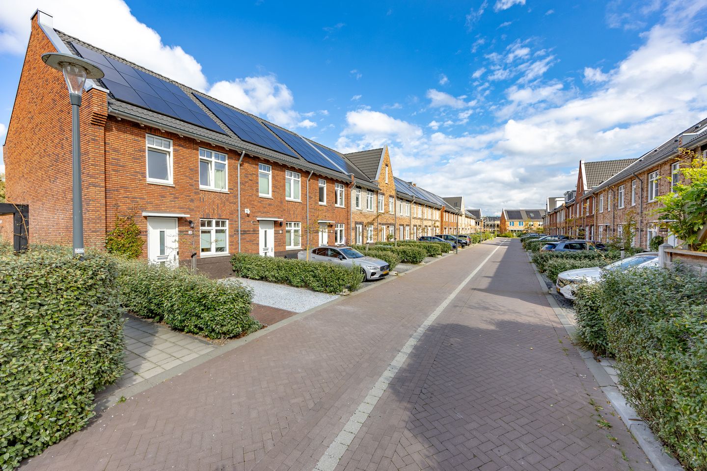 Foto 44 van Kerstanjeburch 1