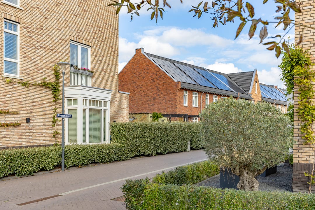 Foto 46 van Kerstanjeburch 1