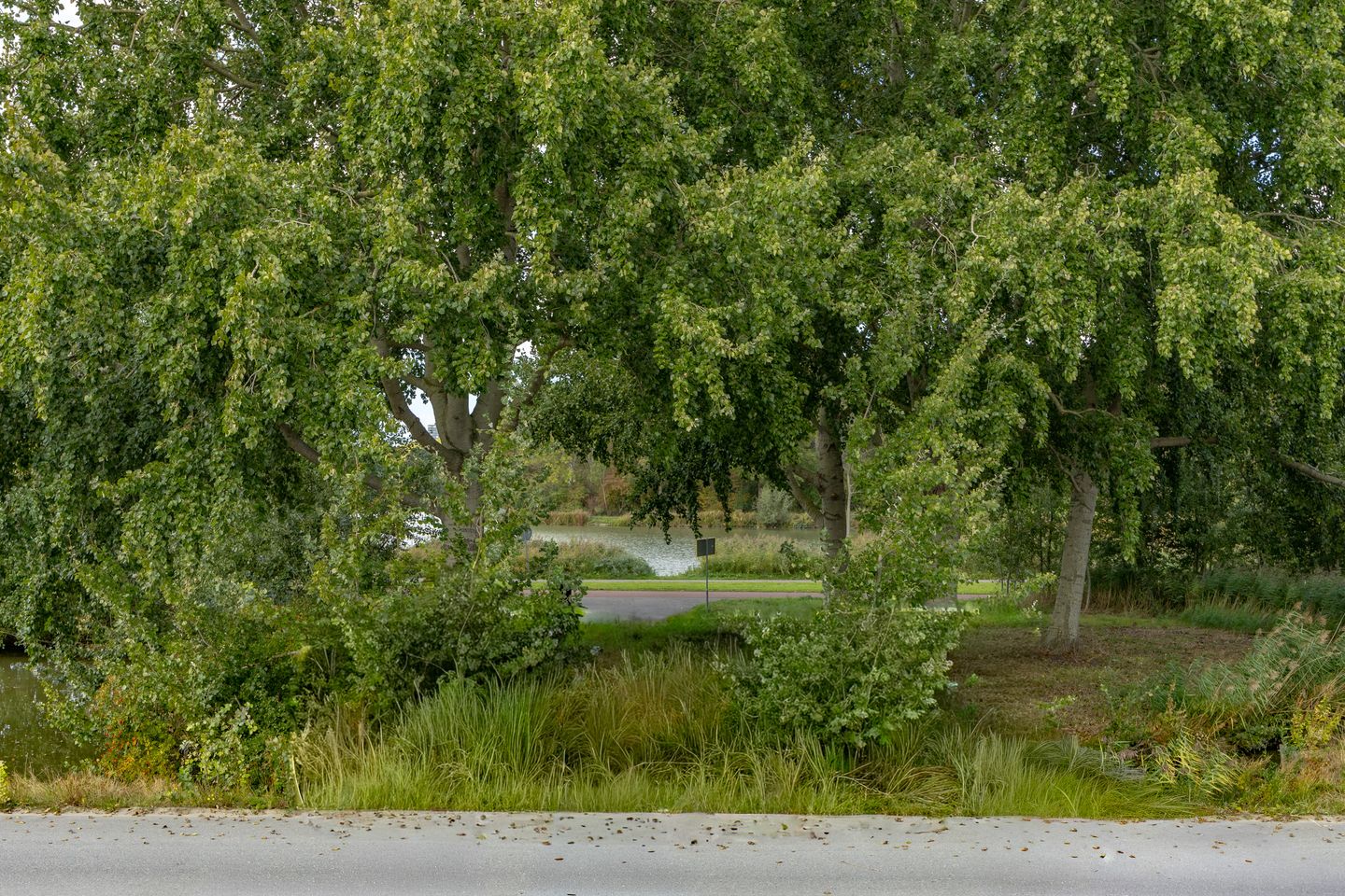 Foto 50 van Kerstanjeburch 1