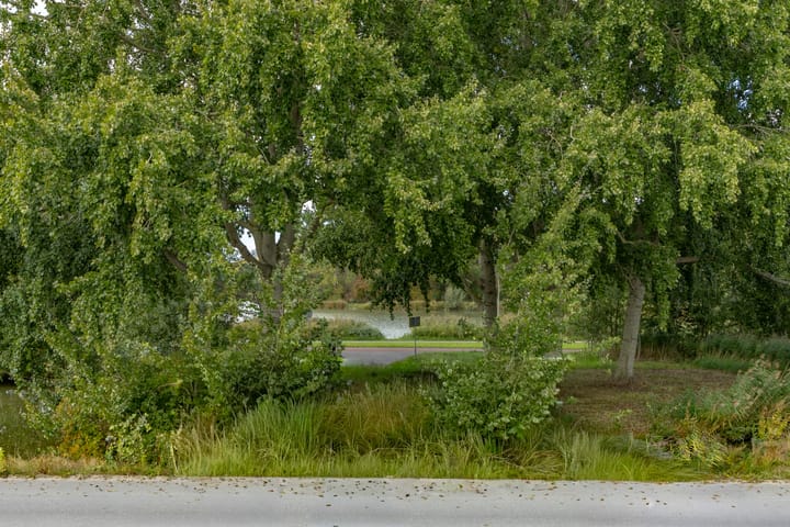 Foto 50 van Kerstanjeburch 1