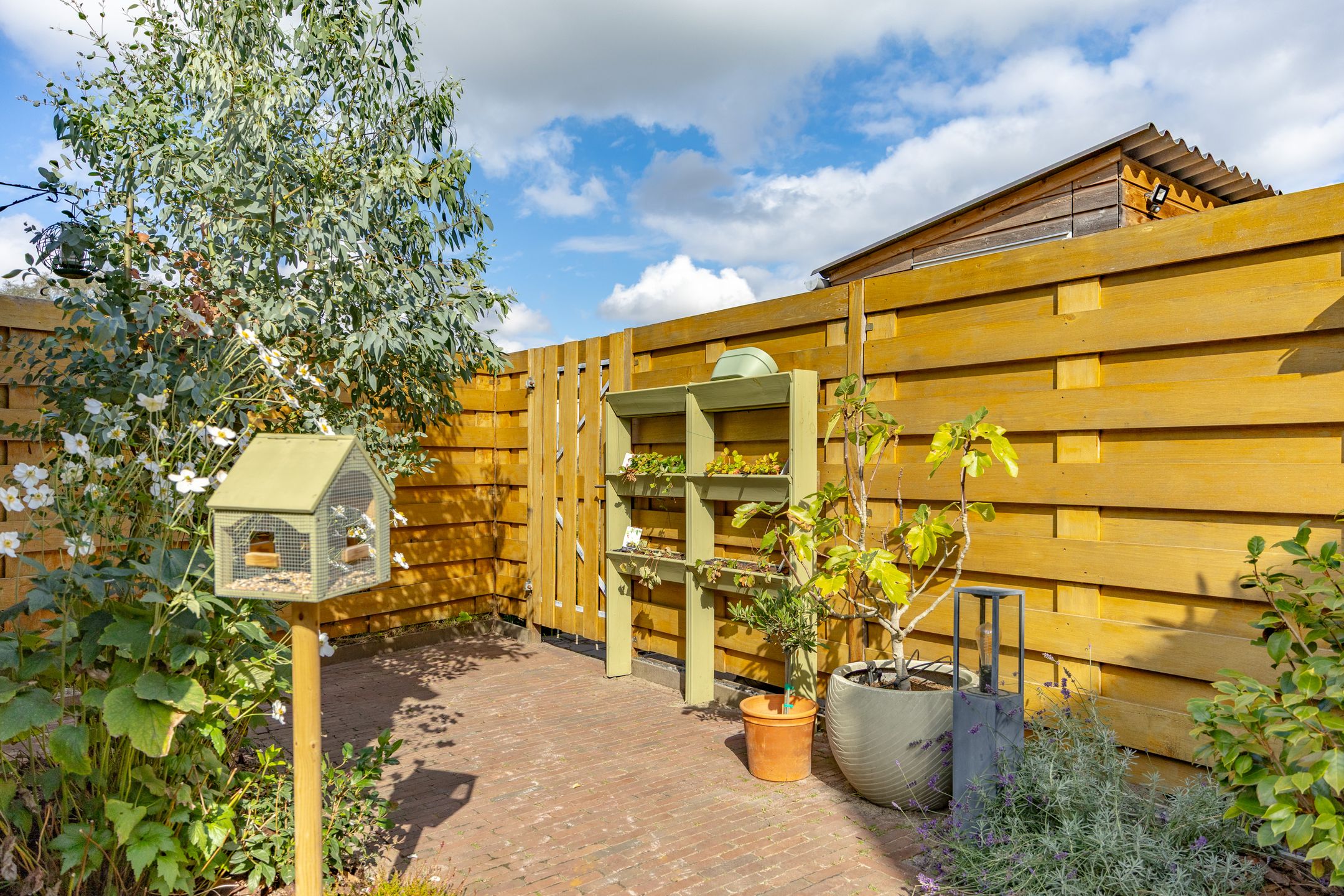 Foto 12 van Kerstanjeburch 1