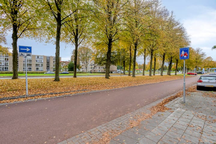 Photo 21 of Via Regia 134-E