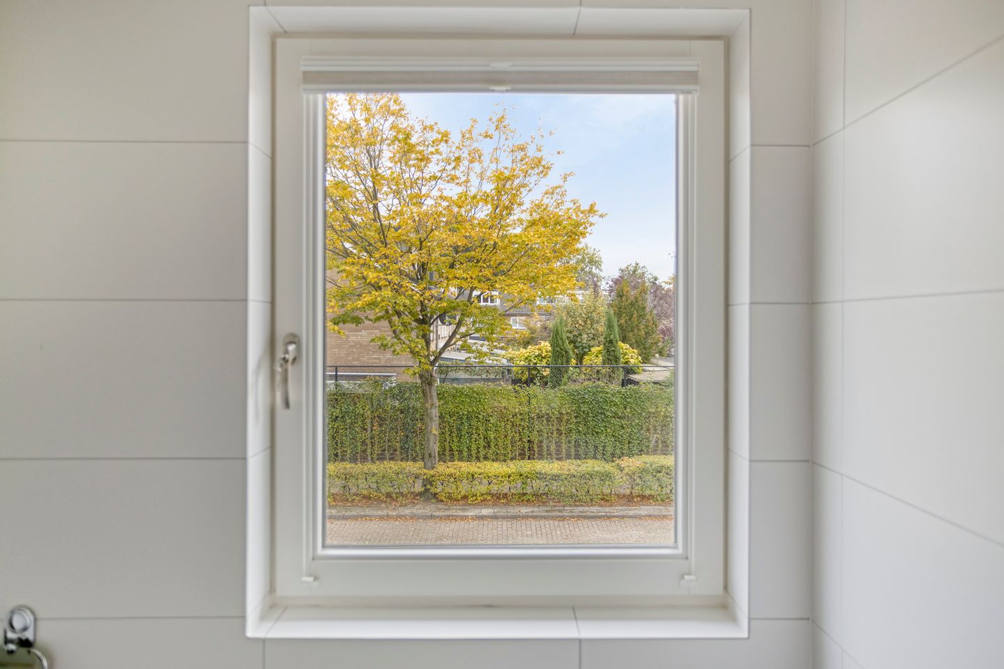 Foto 29 van Boekweitstraat 10