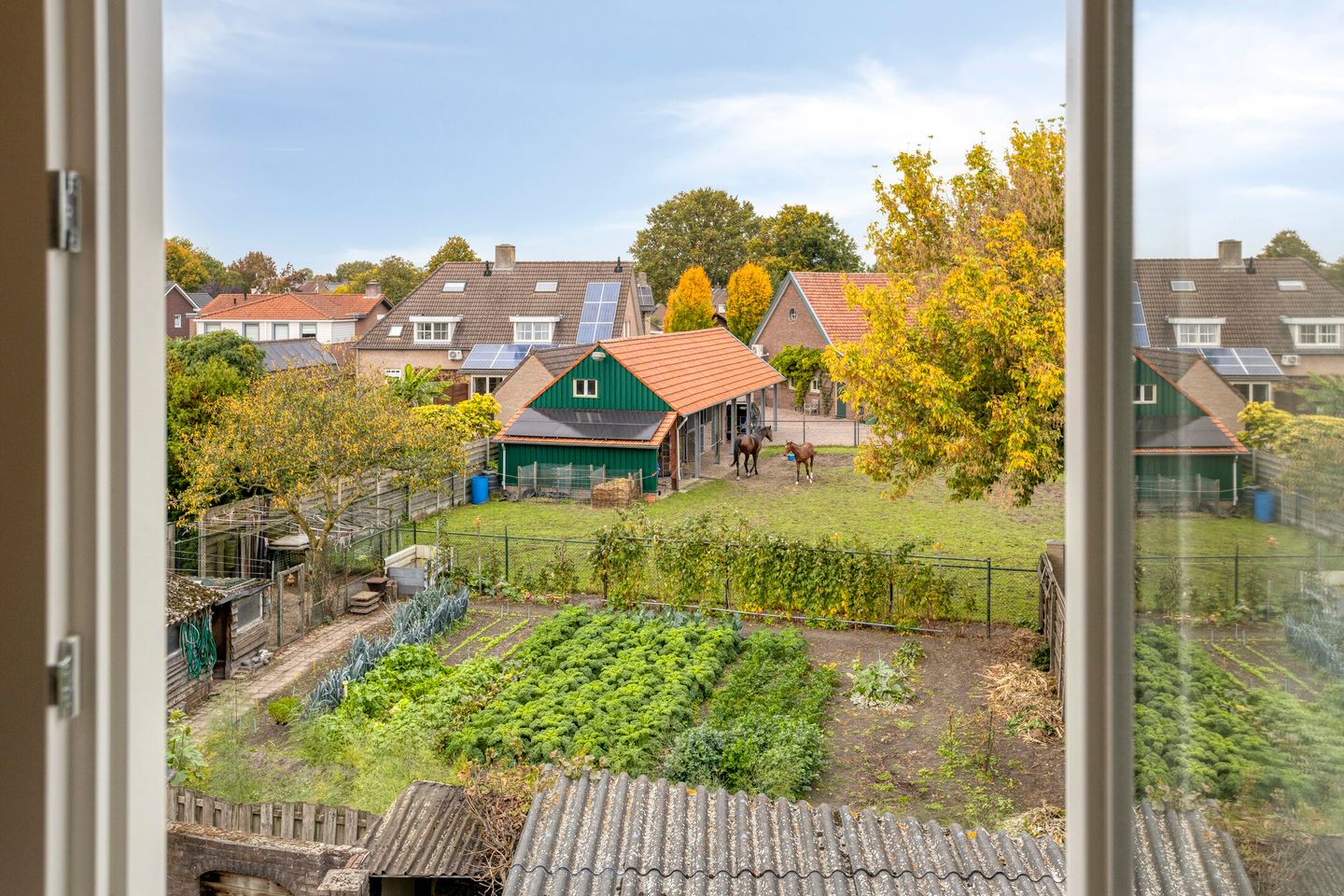 Foto 34 van Boekweitstraat 10