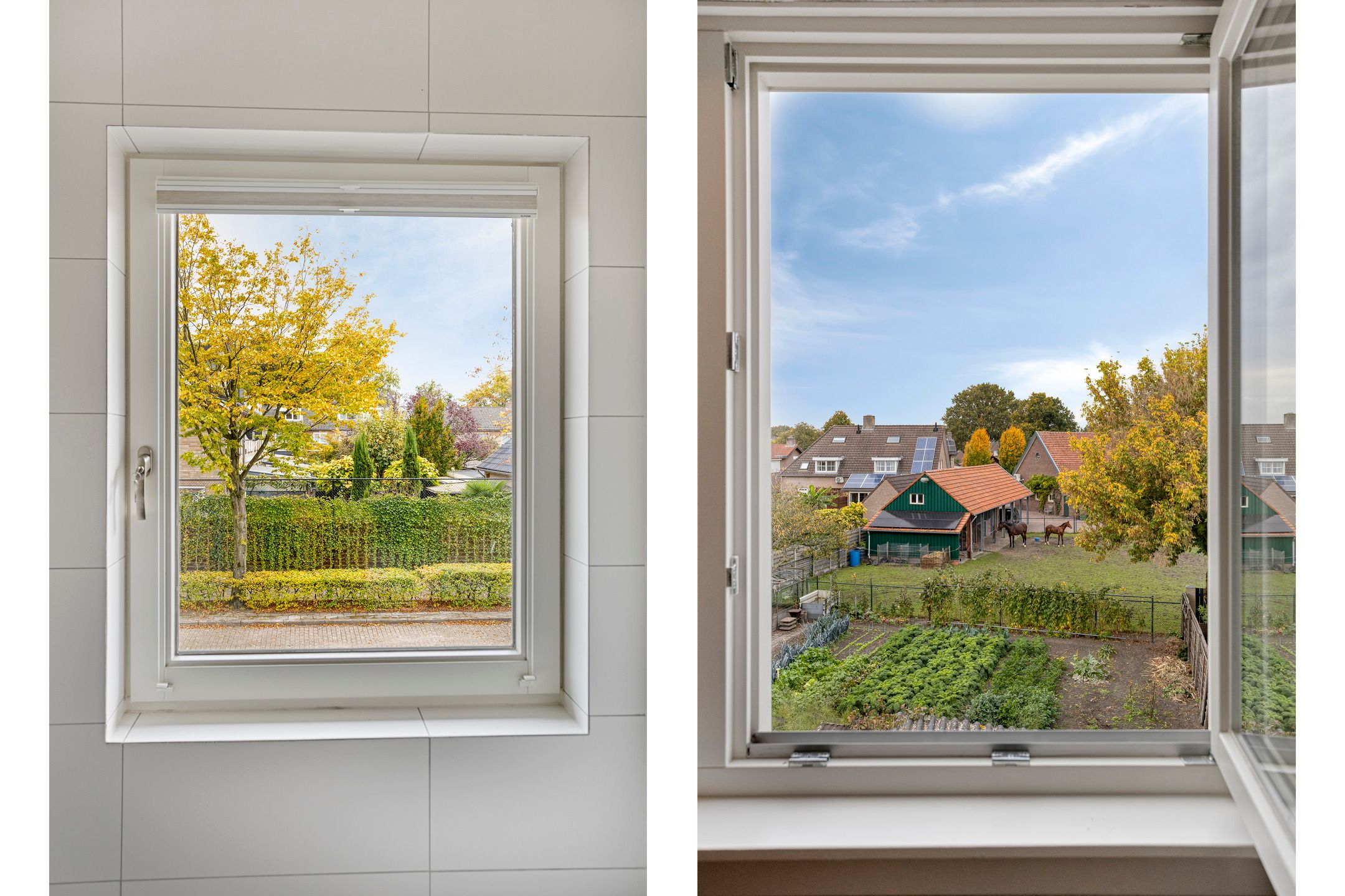 Foto 36 van Boekweitstraat 10