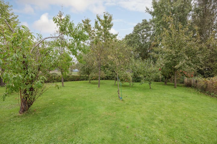 Foto 55 van Vrouwboomweg 1