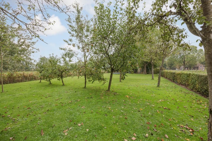 Foto 58 van Vrouwboomweg 1