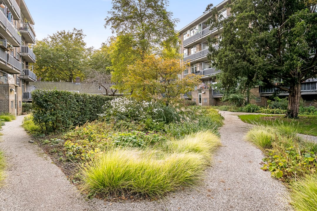 Foto 41 van Louise de Colignystraat 42-1