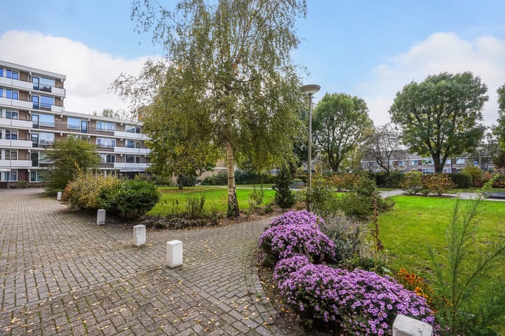 Foto 7 van Hammarskjöldlaan 577